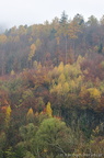 Schweiz 2013